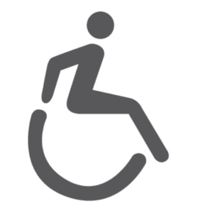 A gray icon of a person sitting in a wheelchair, representing accessibility or facilities for individuals with disabilities.